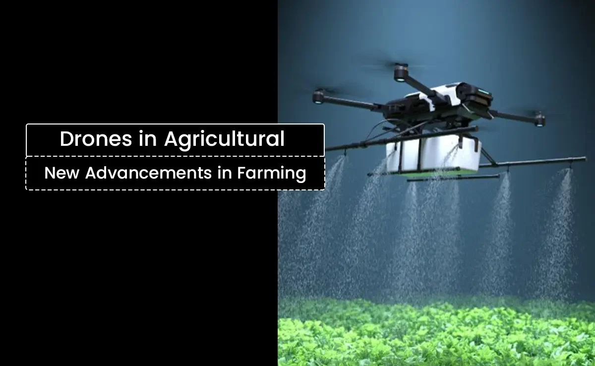 How Drones Are Used in Agriculture