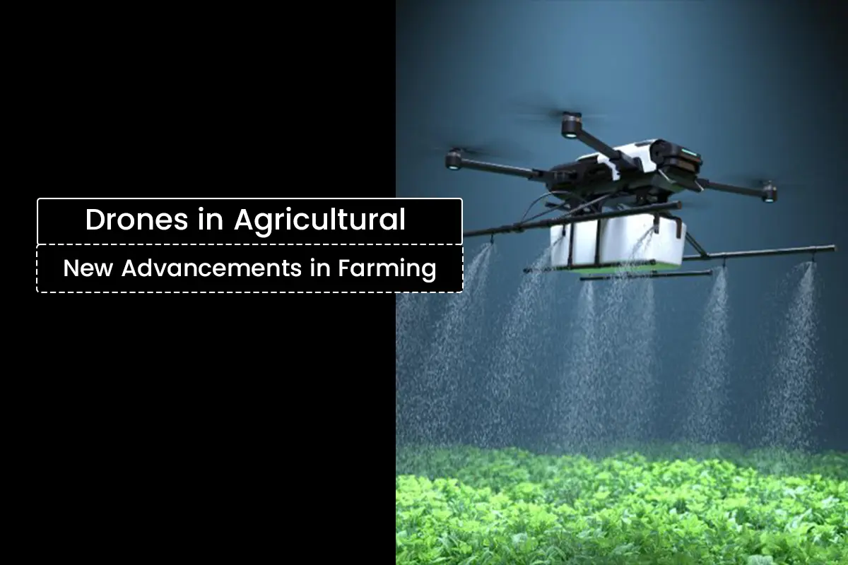 How Drones Are Used in Agriculture